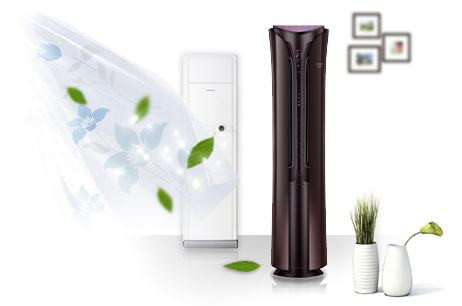 居家必備，三分鐘教您甲醛治理六大招！