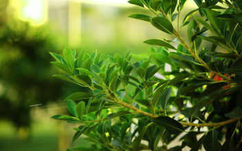 杭州空氣檢測(cè)公司最不推薦的除甲醛方法！