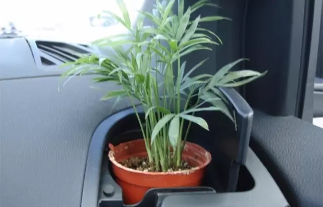 新車(chē)除醛，車(chē)內(nèi)除甲醛什么辦法***？