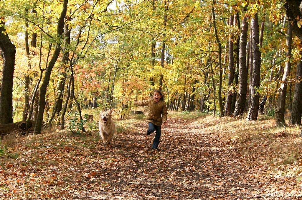 為什么秋季裝修異味這么重？甲醛超標(biāo)怎么辦