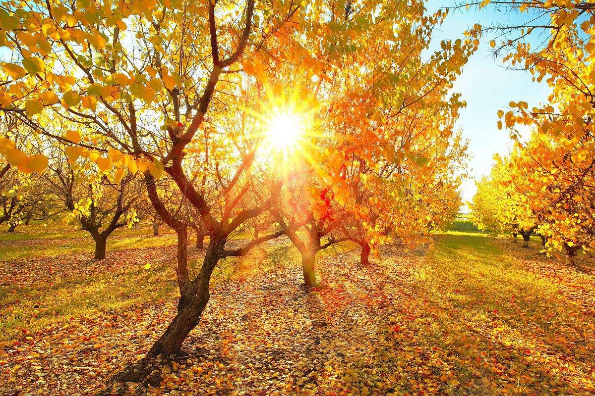 為什么秋季裝修異味這么重？甲醛超標(biāo)怎么辦