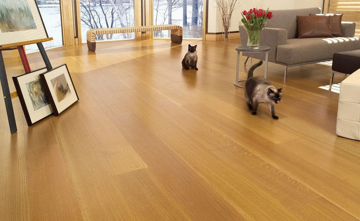 無法拆開、無法通風(fēng)！地板甲醛超標(biāo)怎么辦