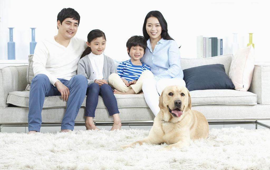 家里甲醛超標(biāo)怎么辦，受污染影響的人群有哪些