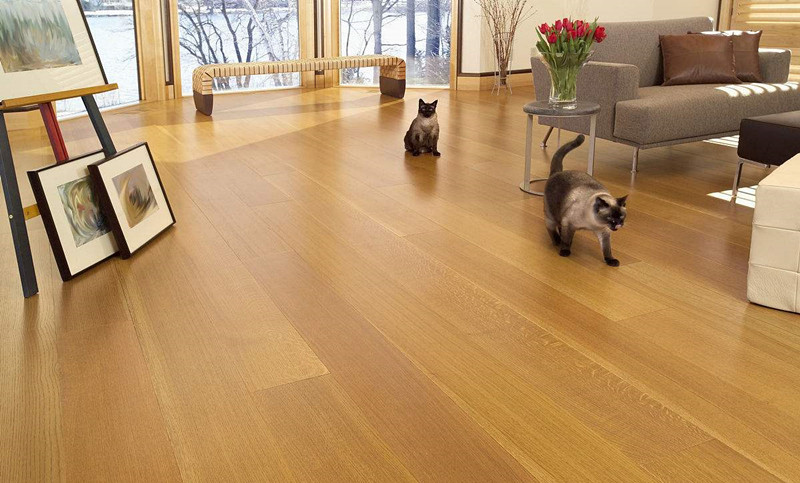 換新地板的房間全部甲醛超標嚴重，地板甲醛超標怎么辦？