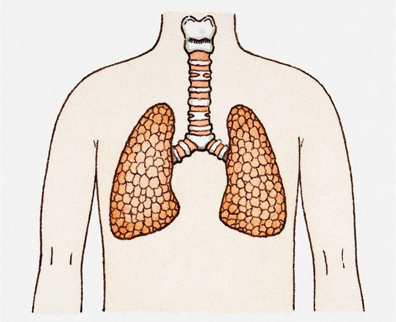 如何進(jìn)行甲醛治理？沒有治理過的空氣就像虐待肺