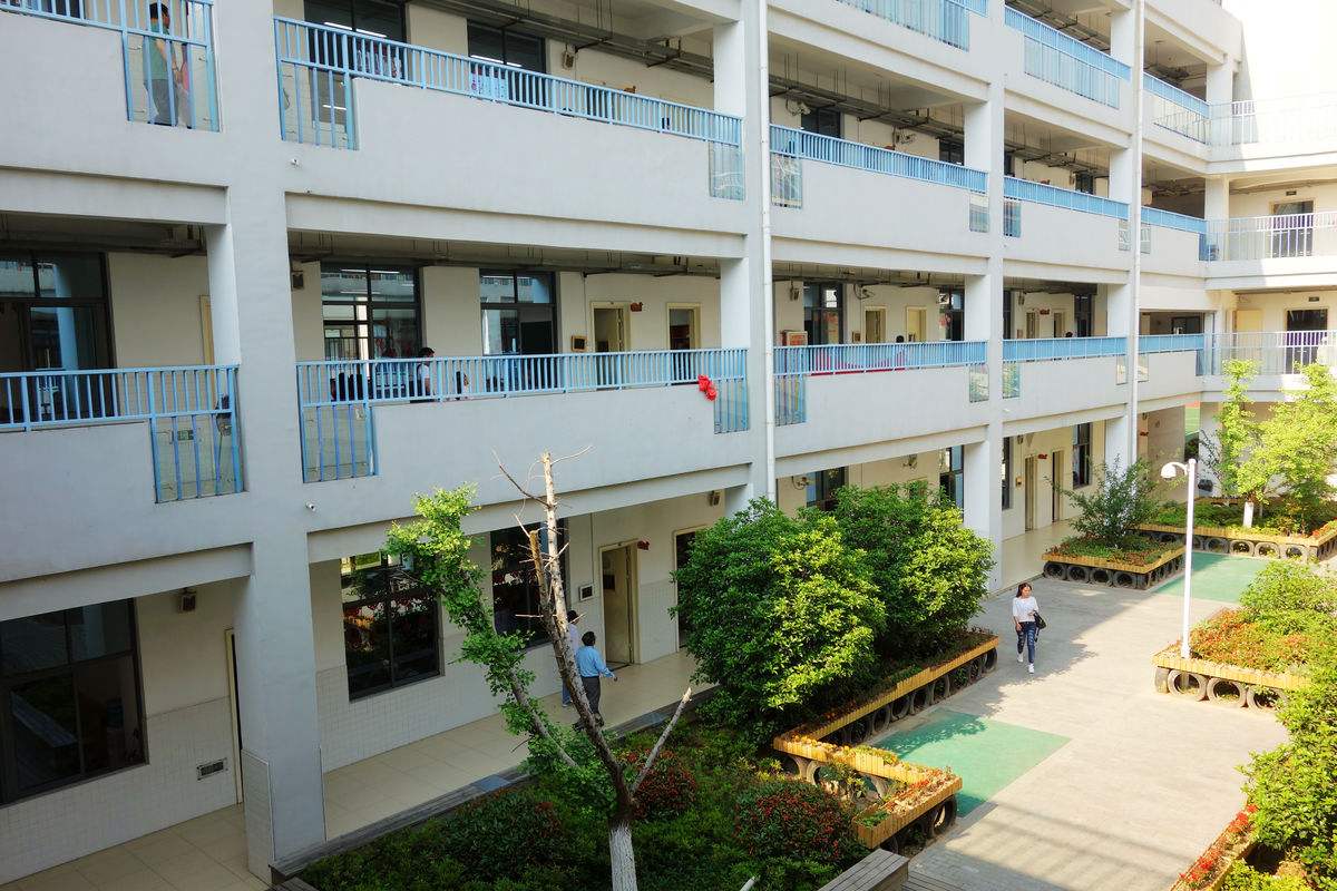 校舍裝修完買(mǎi)了400盆綠蘿凈化空氣，還有孩子開(kāi)學(xué)***天就熏暈了！