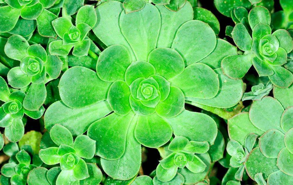 這樣去甲醛，您將親手“毀掉”自己的室內(nèi)空氣環(huán)境，今天再忙也要看一下！