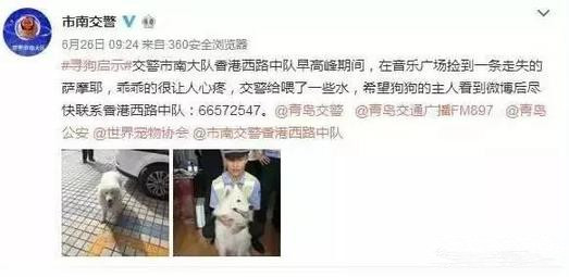 有問題找警察，薩摩耶派出所報(bào)案，不注意這件事，對(duì)狗狗致命，警察蜀黍卻幫不上忙！