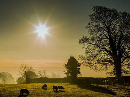 僅靠通風(fēng)換氣去除甲醛？這樣入住很危險(xiǎn)哦！