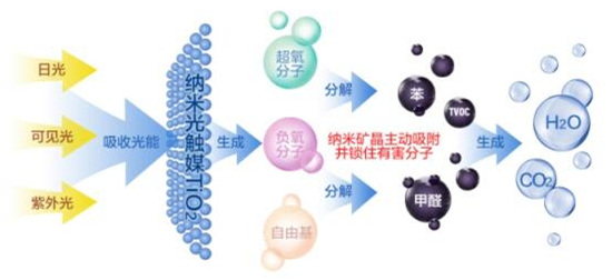 洋蔥可以除甲醛？民間流傳土方法可信嗎？