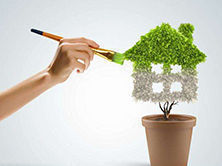 洋蔥可以除甲醛？民間流傳土方法可信嗎？