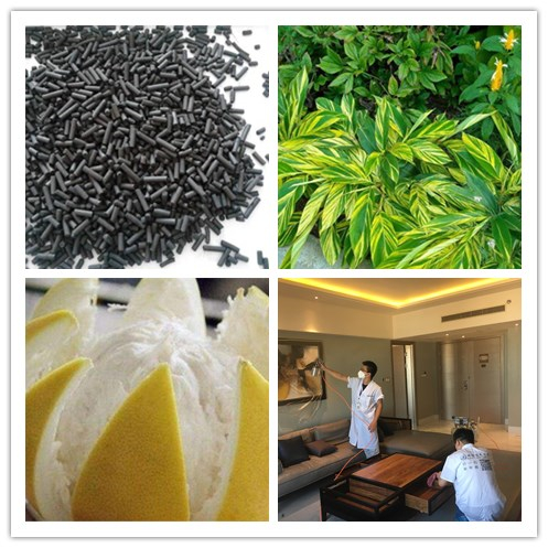 新房除甲醛，您一定不會(huì)失手！