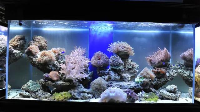 家中旺位和衰位在哪里？三分鐘學(xué)習(xí)室內(nèi)風(fēng)水學(xué)