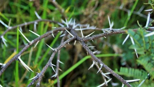 家中旺位和衰位在哪里？三分鐘學(xué)習(xí)室內(nèi)風(fēng)水學(xué)