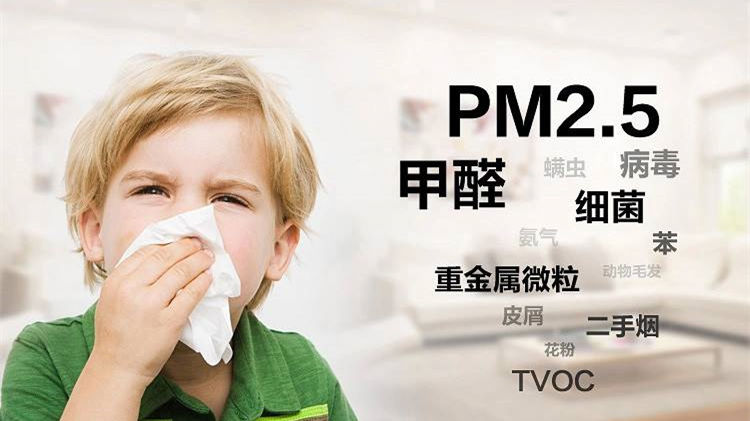 誰(shuí)說(shuō)二手車沒(méi)有甲醛？汽車除甲醛最有效方法告訴您