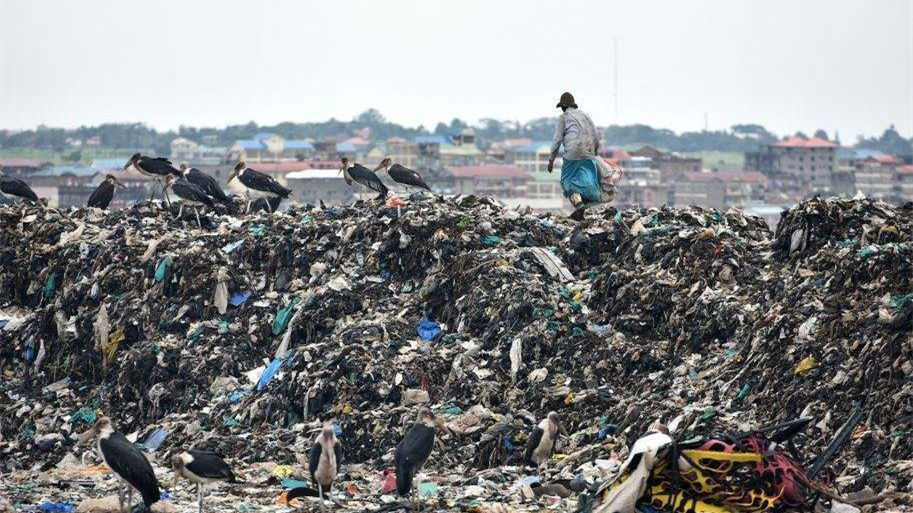 健康四月，環(huán)保政策搶先看！