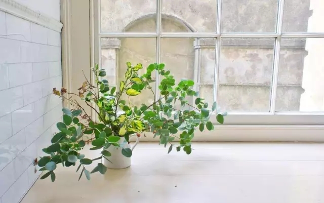 通風(fēng)半年甲醛仍超標(biāo)？甲醛治理要注意