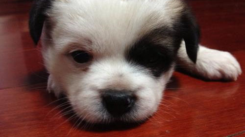 床墊薄膜要撕嗎？不僅要撕還要除甲醛！