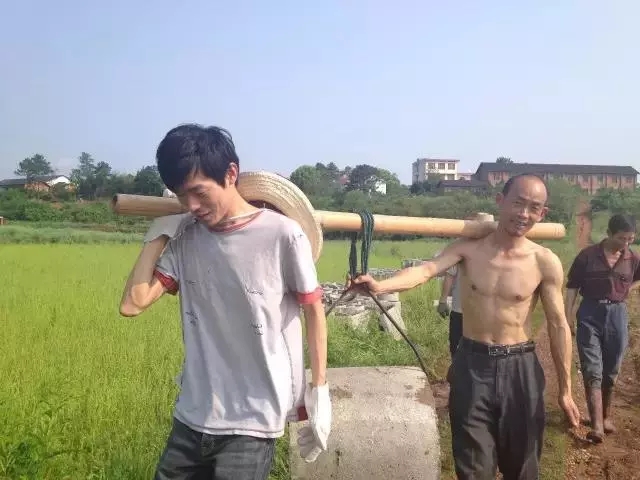 青春是用來(lái)奮斗的，除甲醛的青春最美麗！