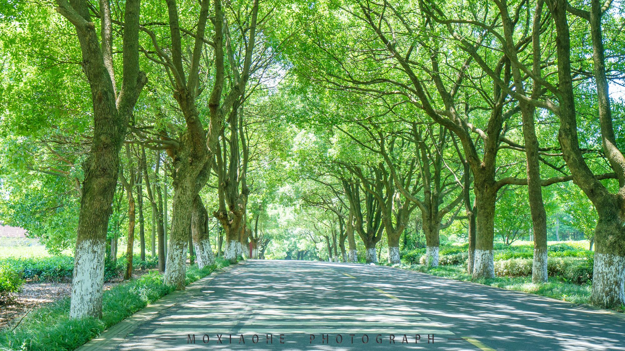 #助力高考# 保存好你的高考準(zhǔn)考證，創(chuàng)綠家送您安“醛”一夏！