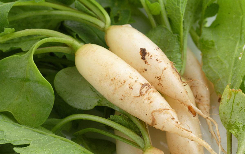 甲醛輕微超標(biāo)能自愈嗎？