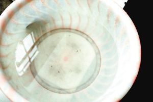 疫苗事件背后：您是否想過除甲醛產(chǎn)品也存在無效情況？