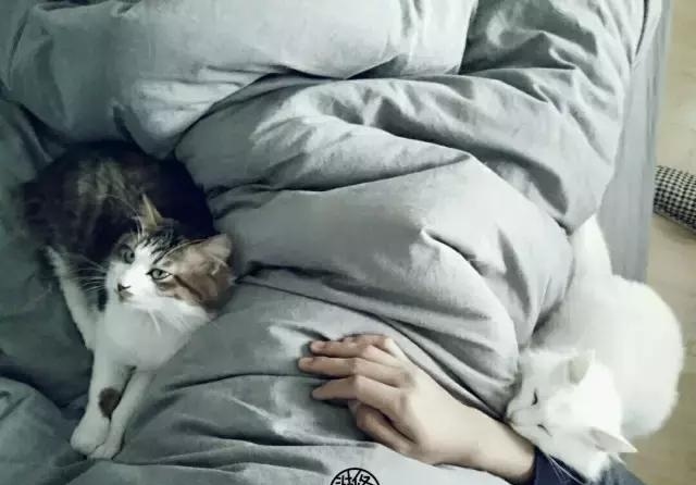 21天3000元重裝出租屋 除甲醛莫忘記！