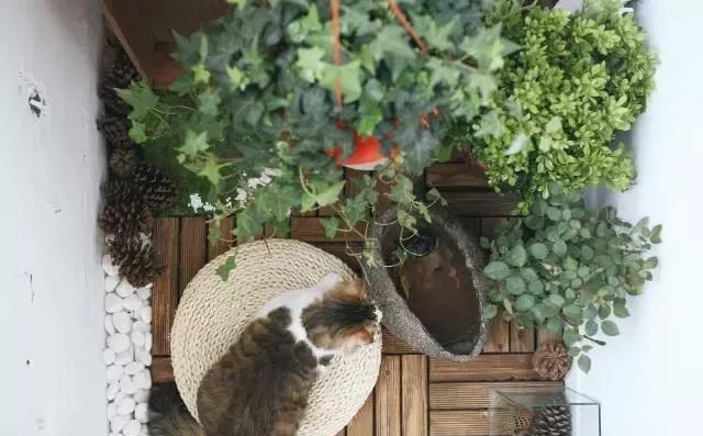 21天3000元重裝出租屋 除甲醛莫忘記！