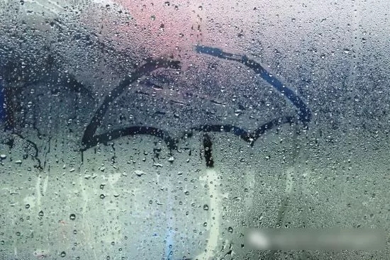 房間潮濕怎么辦！不僅會發(fā)霉還會導致甲醛超標