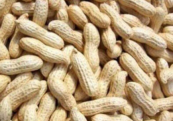 水煮花生含甲醛？實(shí)測多家燒烤店結(jié)果太可怕！