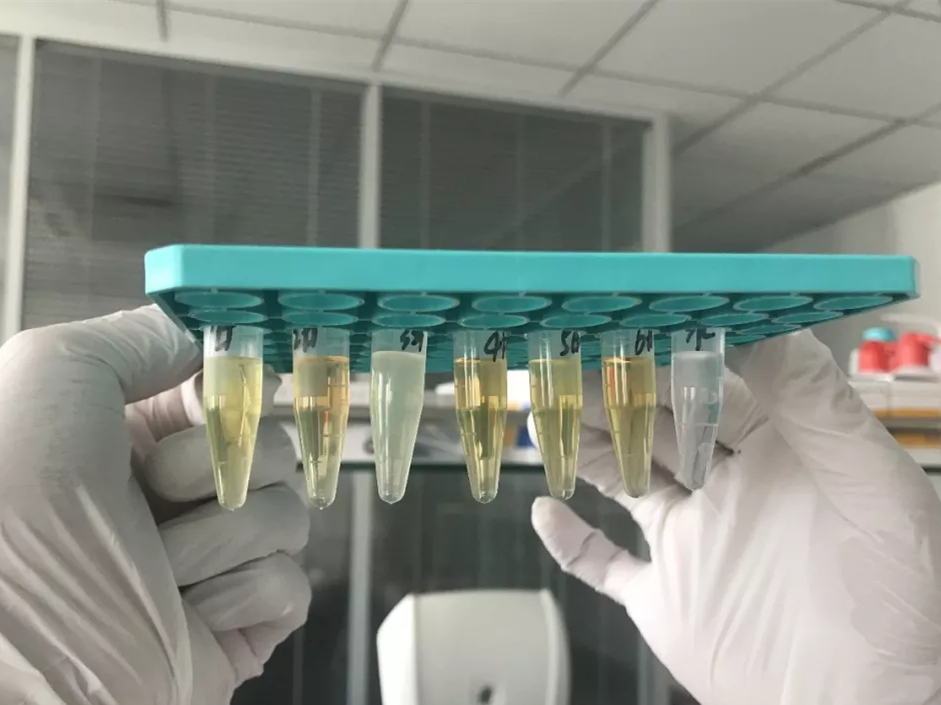 水煮花生含甲醛？實(shí)測多家燒烤店結(jié)果太可怕！