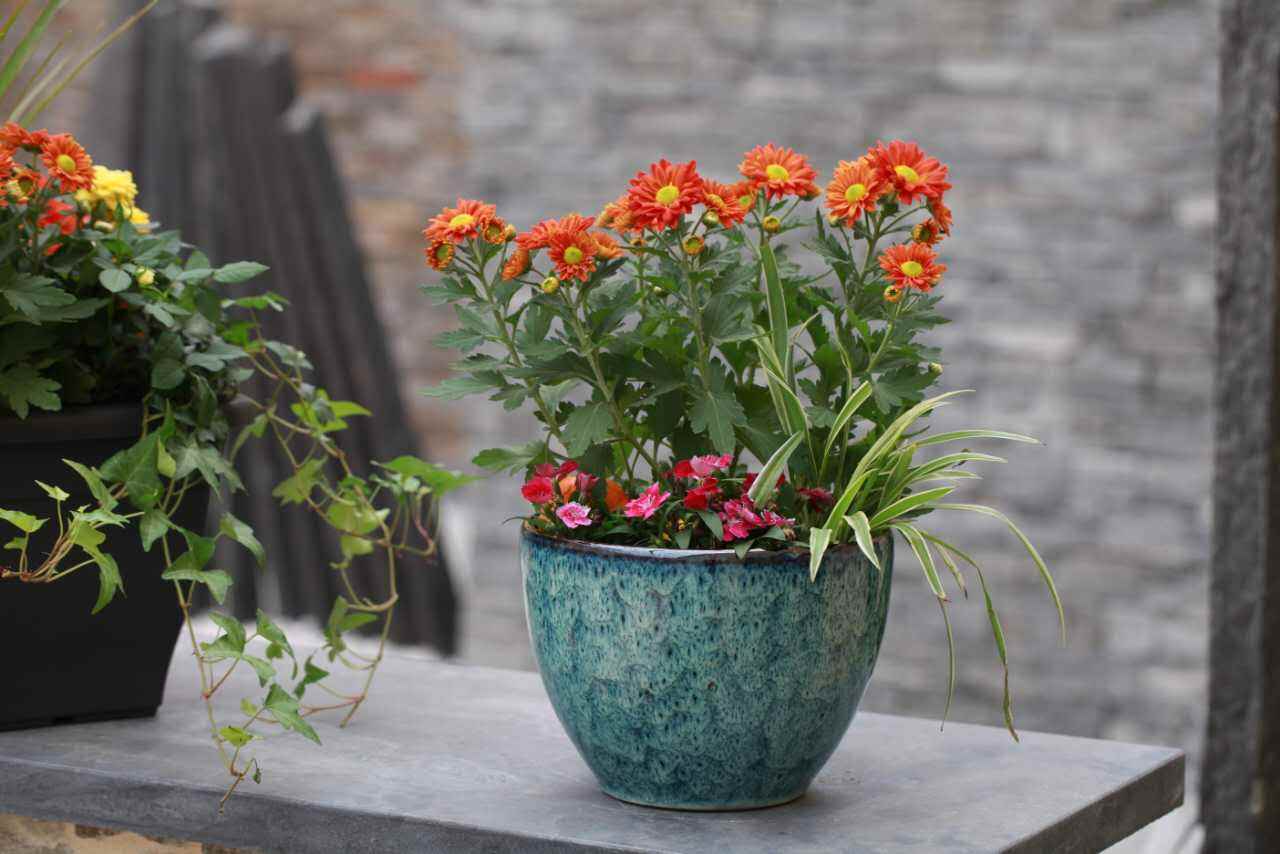 你認(rèn)為網(wǎng)上最正確的除甲醛方法是那個(gè)？