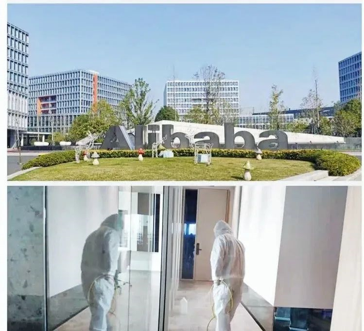 吾志所向，一往無前 | 創(chuàng)綠家2020年大事記