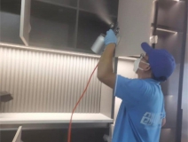 偏方真的能除甲醛嗎？