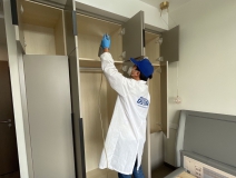 偏方真的能除甲醛嗎？