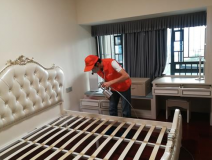 室內(nèi)除甲醛怎樣提高質(zhì)量？