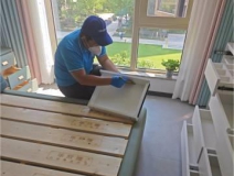 有效的除醛方法有哪些？