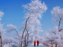 如何解決冬季室內(nèi)和車內(nèi)環(huán)境污染問(wèn)題的問(wèn)題呢？