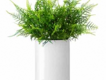 除了找除甲醛公司尋求幫助，還有什么辦法可以去毒