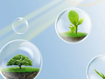 這些甲醛的危害你知道嗎？