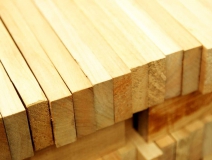 家長們集體發(fā)聲：不要打著“環(huán)?！钡钠熳訉⒆油聪露臼?！