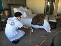 如何使用光觸媒除甲醛，以及它的原理是什么