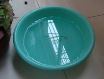 裝修完僅靠兩盆冷水就能除甲醛？這個說法連網(wǎng)友都出來辟謠！大家別再相信了！