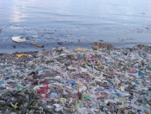 現(xiàn)代人生活節(jié)奏過快，卻導致環(huán)境空氣污染越來越嚴重