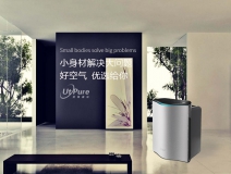 盆栽、魚兒養(yǎng)不活怎么辦 是甲醛導(dǎo)致的嗎？