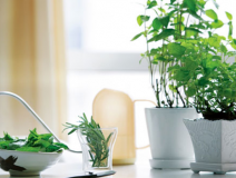 如何選擇一家靠譜的除甲醛公司？