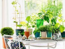 甲醛治理看的見，你的健康我來保護