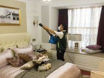 除甲醛公司哪家好，創(chuàng)綠家更專業(yè)