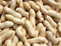 水煮花生含甲醛？實測多家燒烤店結(jié)果太可怕！