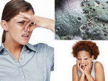 家里有異味怎么辦？科學(xué)除味、治理甲醛就對了！